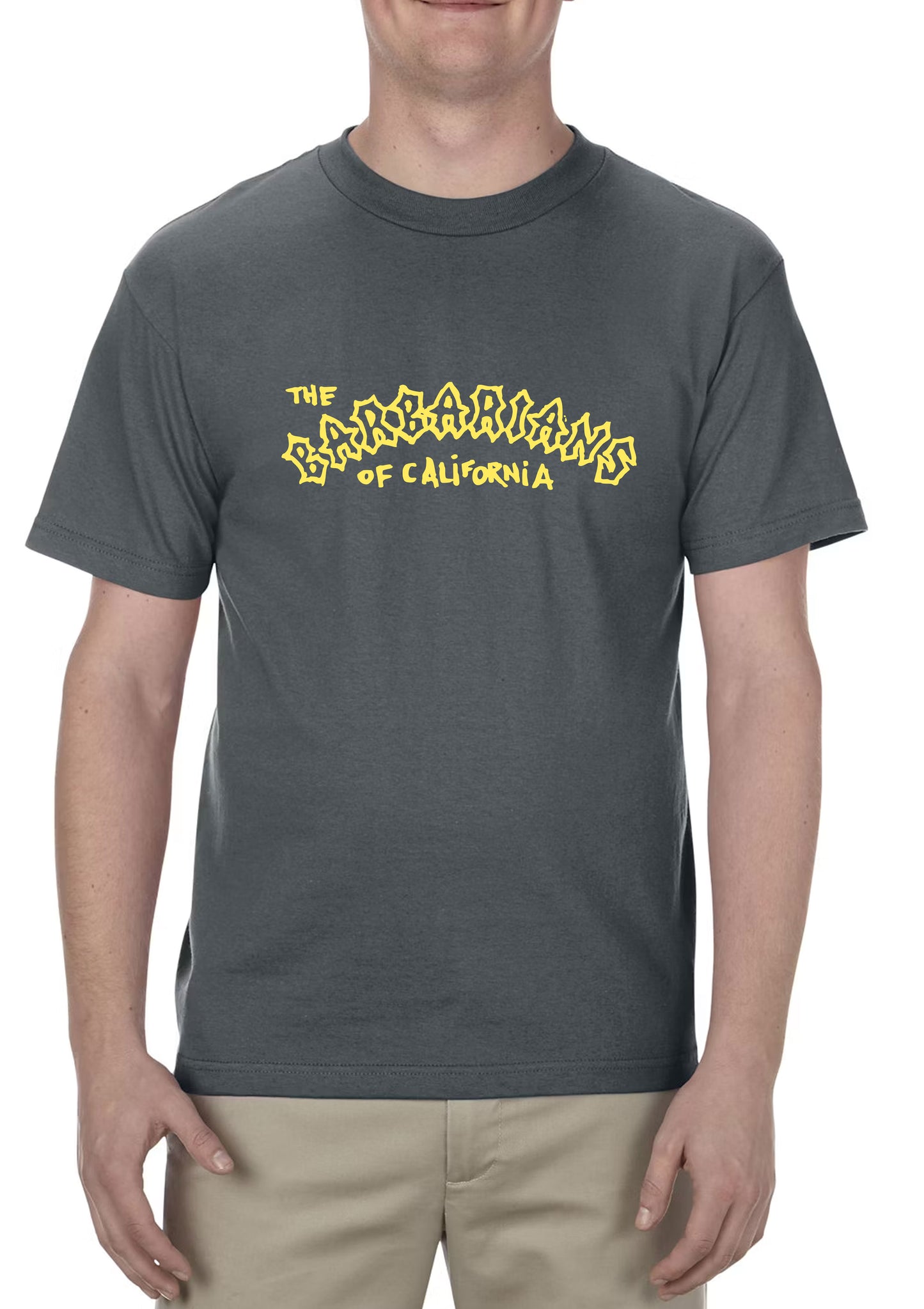 GREY T-SHIRT: Logo (Front) - Live Image (Back) - Short Sleeve